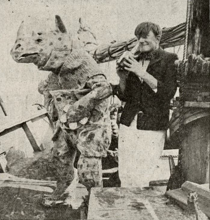 The Ringtailed Rhinoceros