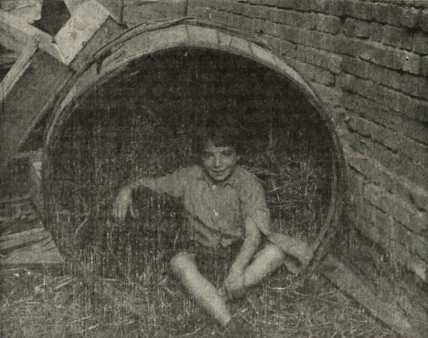 The Waif photo