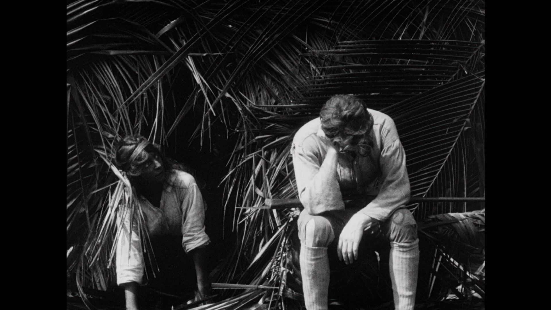 20,000 Leagues Under the Sea photo