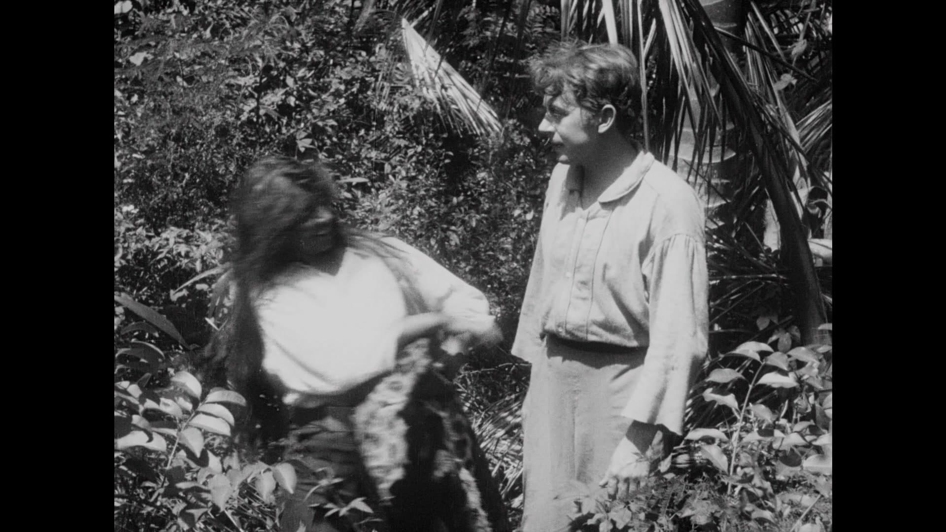 20,000 Leagues Under the Sea photo