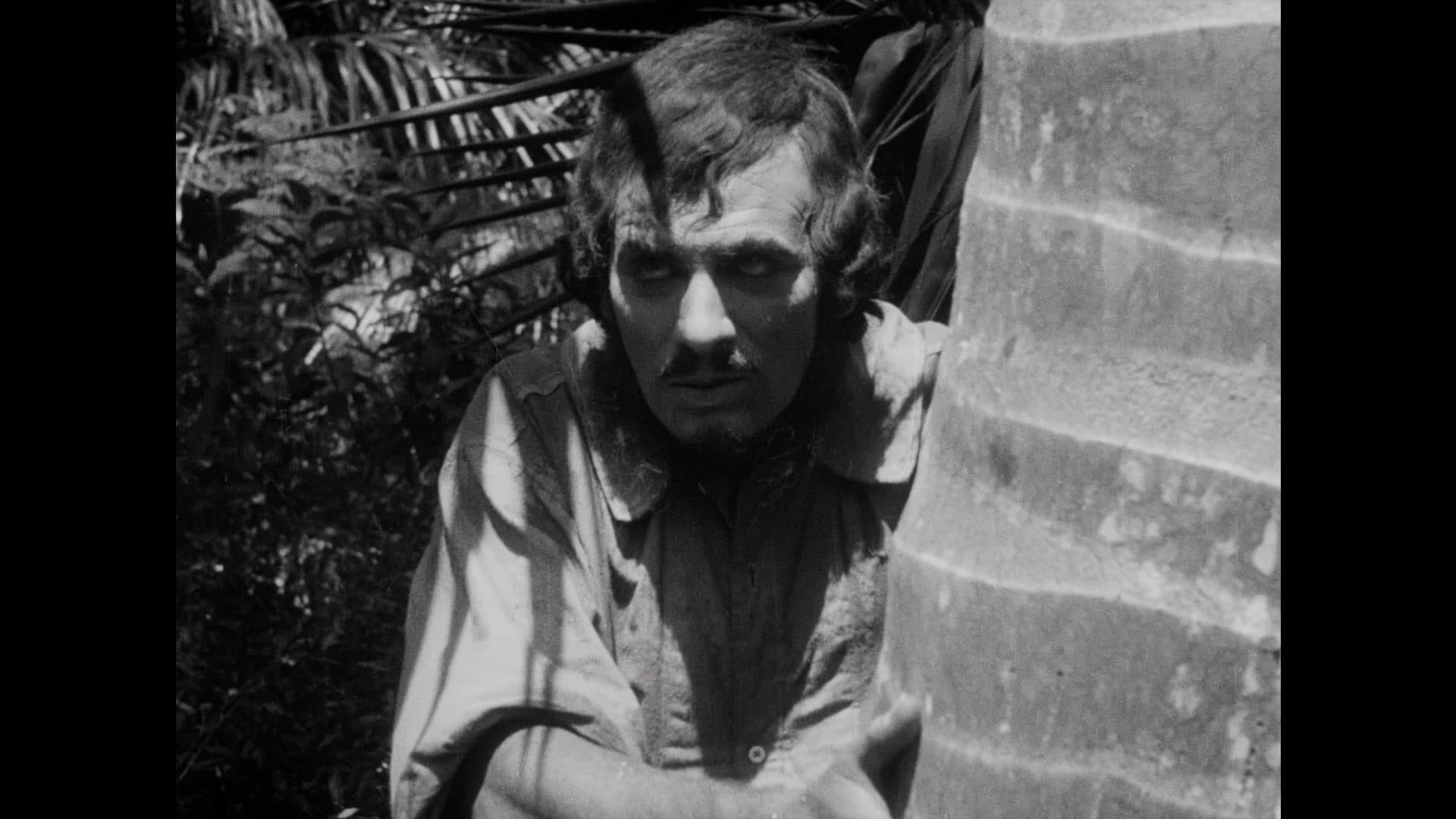 20,000 Leagues Under the Sea photo