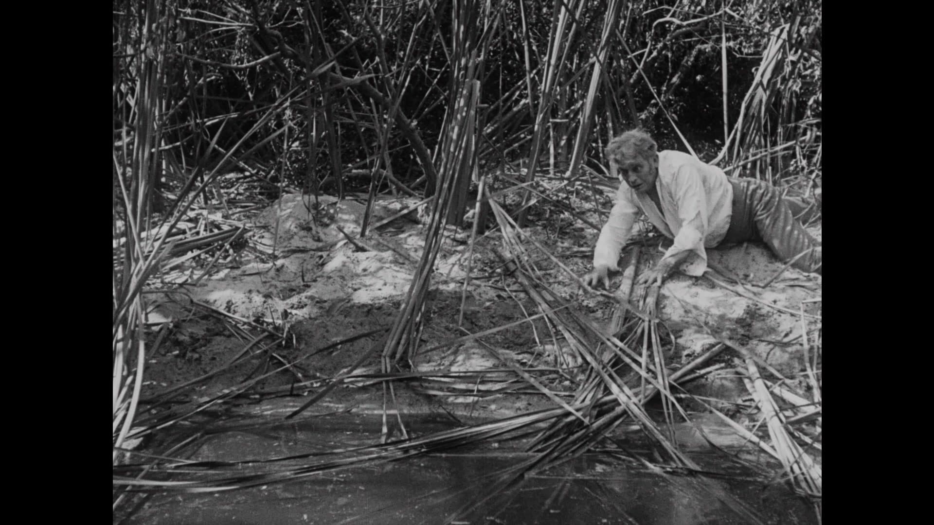 20,000 Leagues Under the Sea photo