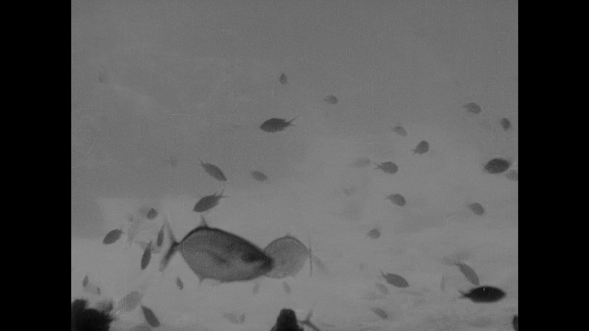 20,000 Leagues Under the Sea