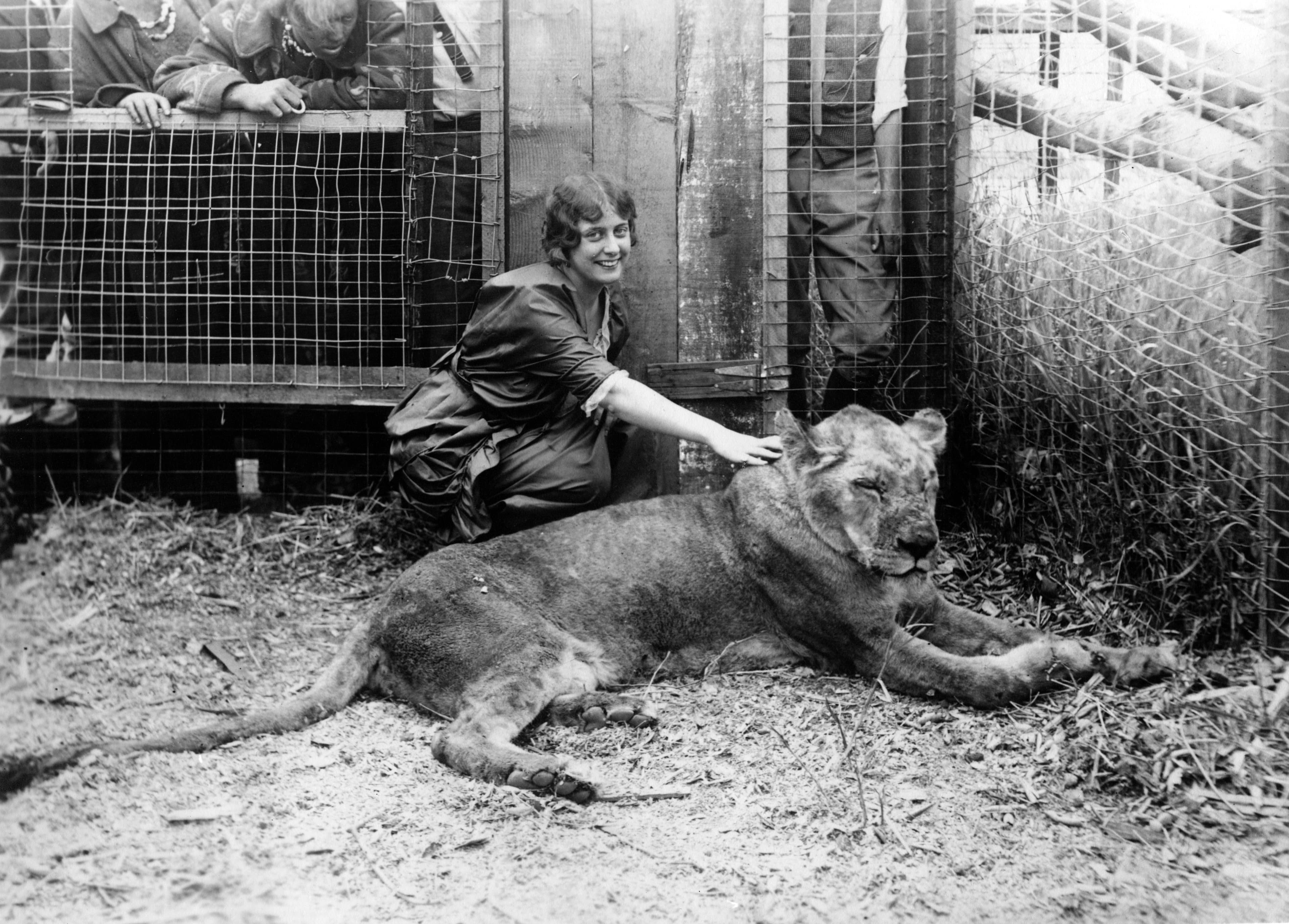 The Adventures of Peg o' the Ring