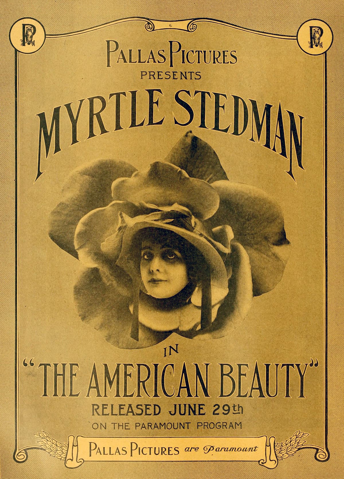 The American Beauty photo