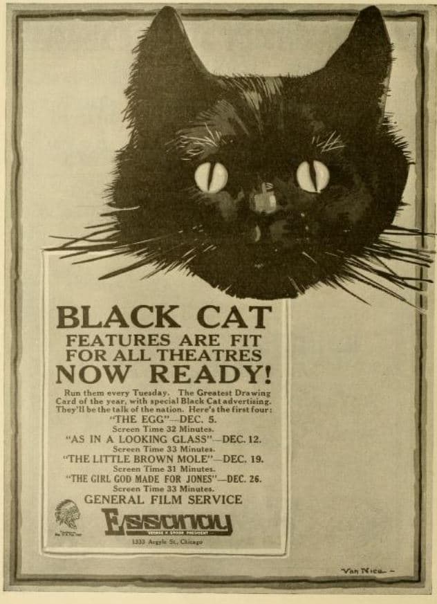 As in a Looking Glass