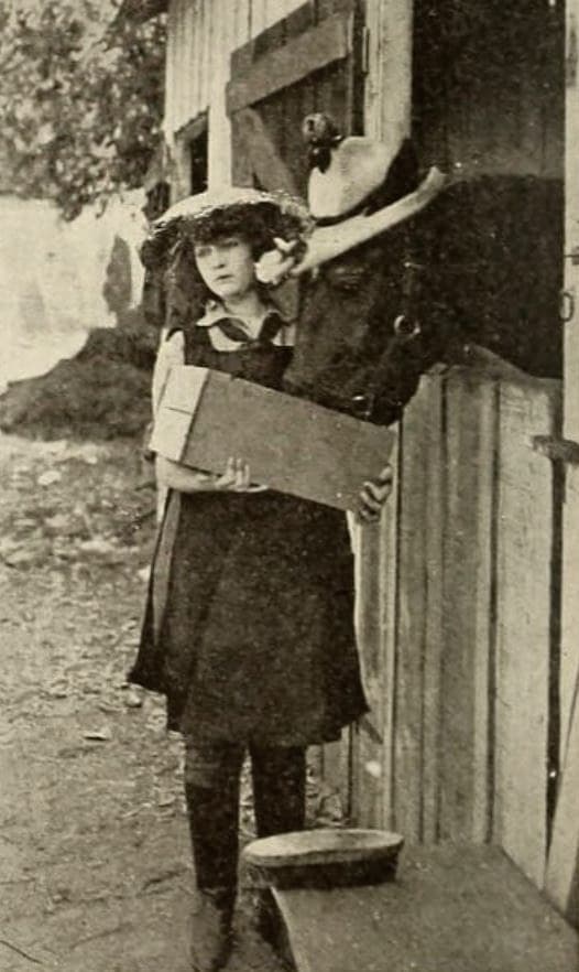 Atta Boy's Last Race