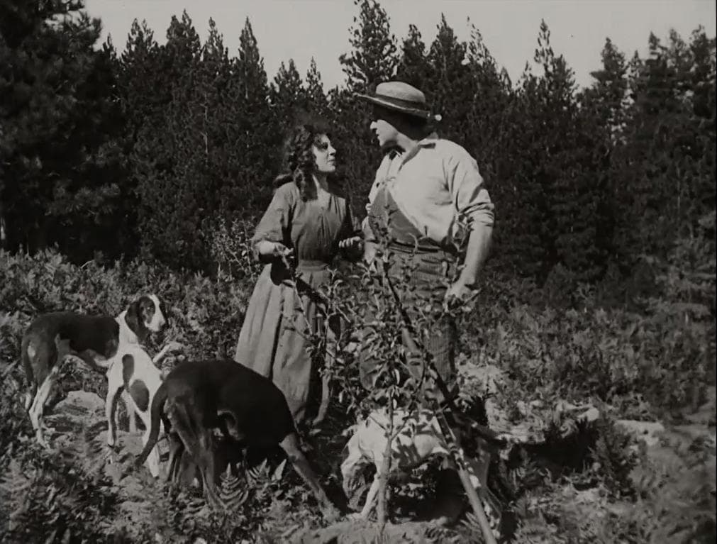 The Call of the Cumberlands photo