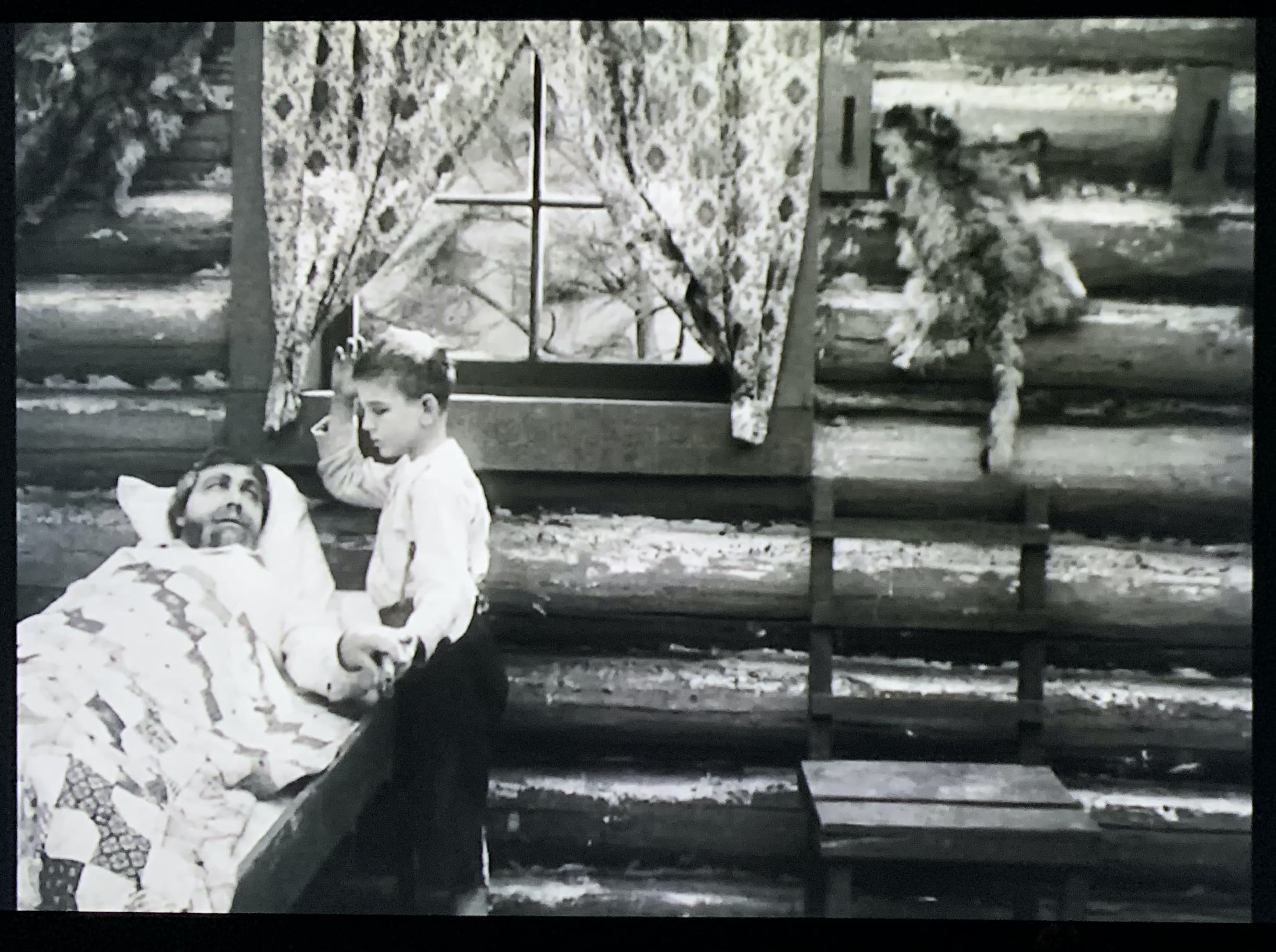 The Call of the Cumberlands