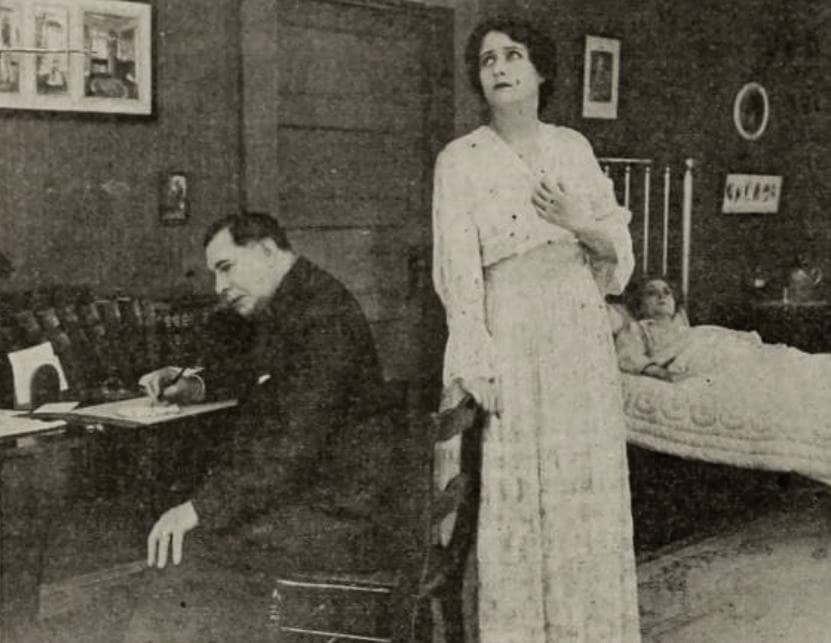 The Common Law photo