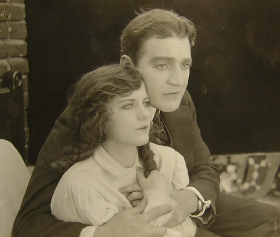 The Flower of No Man's Land