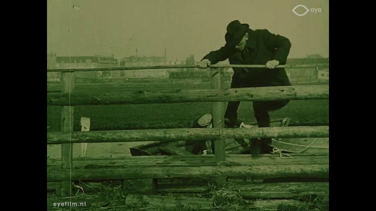 Genie tegen geweld photo