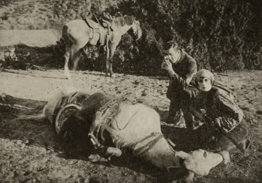 The Girl from Frisco