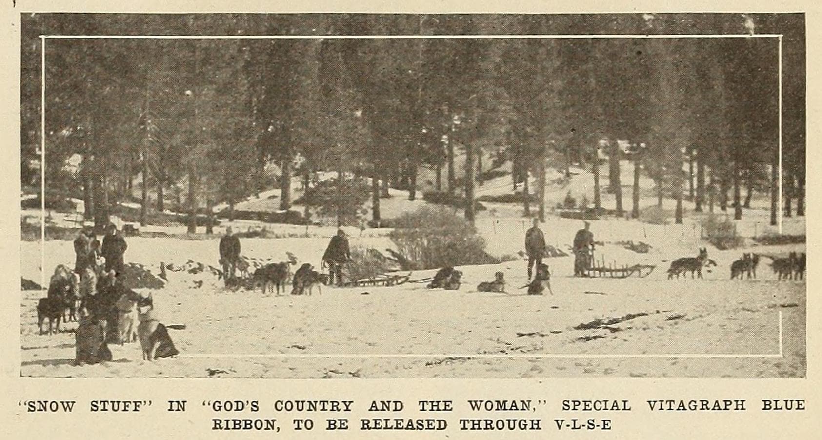 God's Country and the Woman