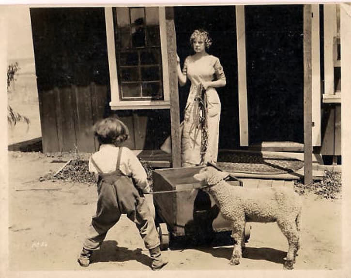 The House with the Golden Windows photo