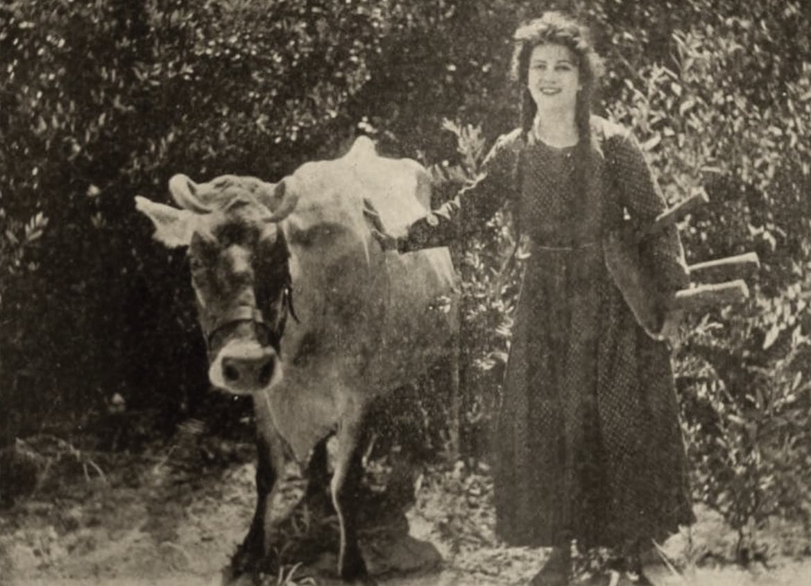 Judith of the Cumberlands