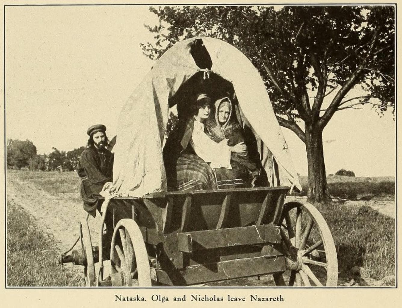 The Light at Dusk photo