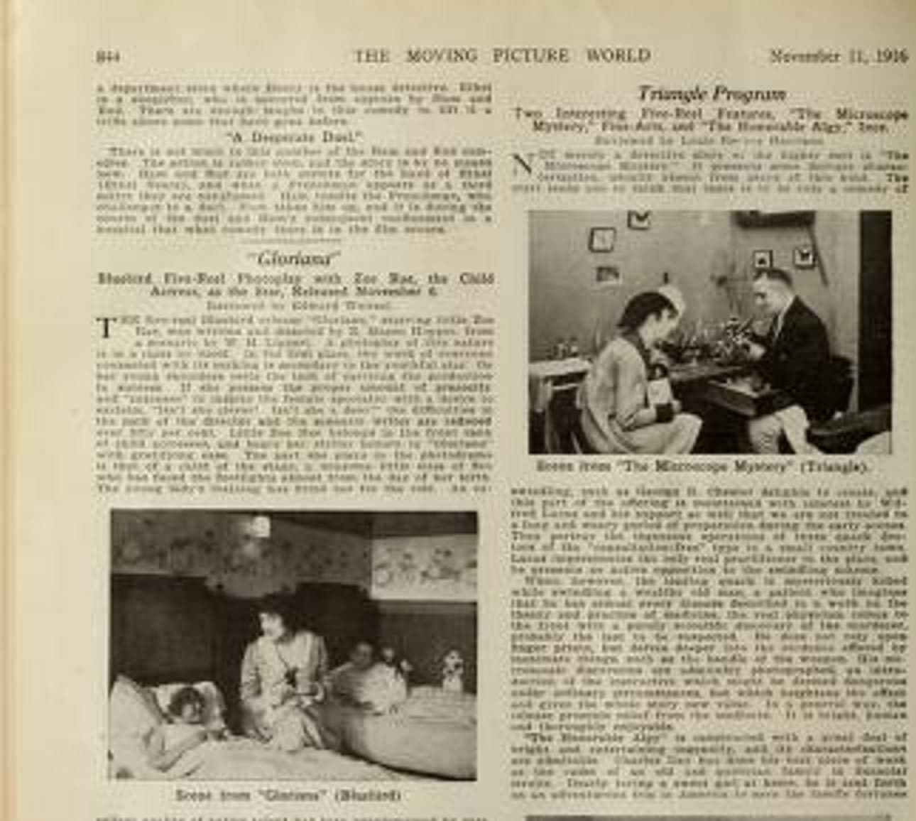 The Microscope Mystery