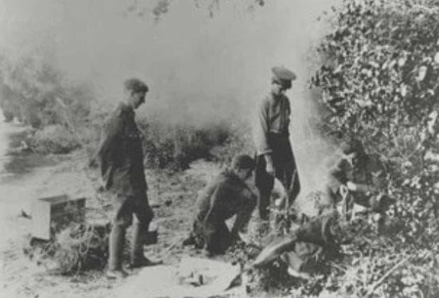 The Mutiny of the Bounty photo