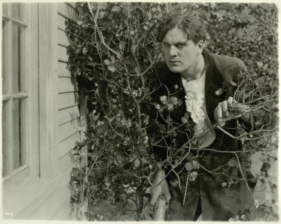 Pudd'nhead Wilson photo