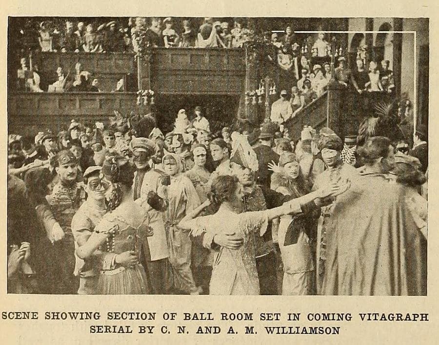 The Scarlet Runner photo