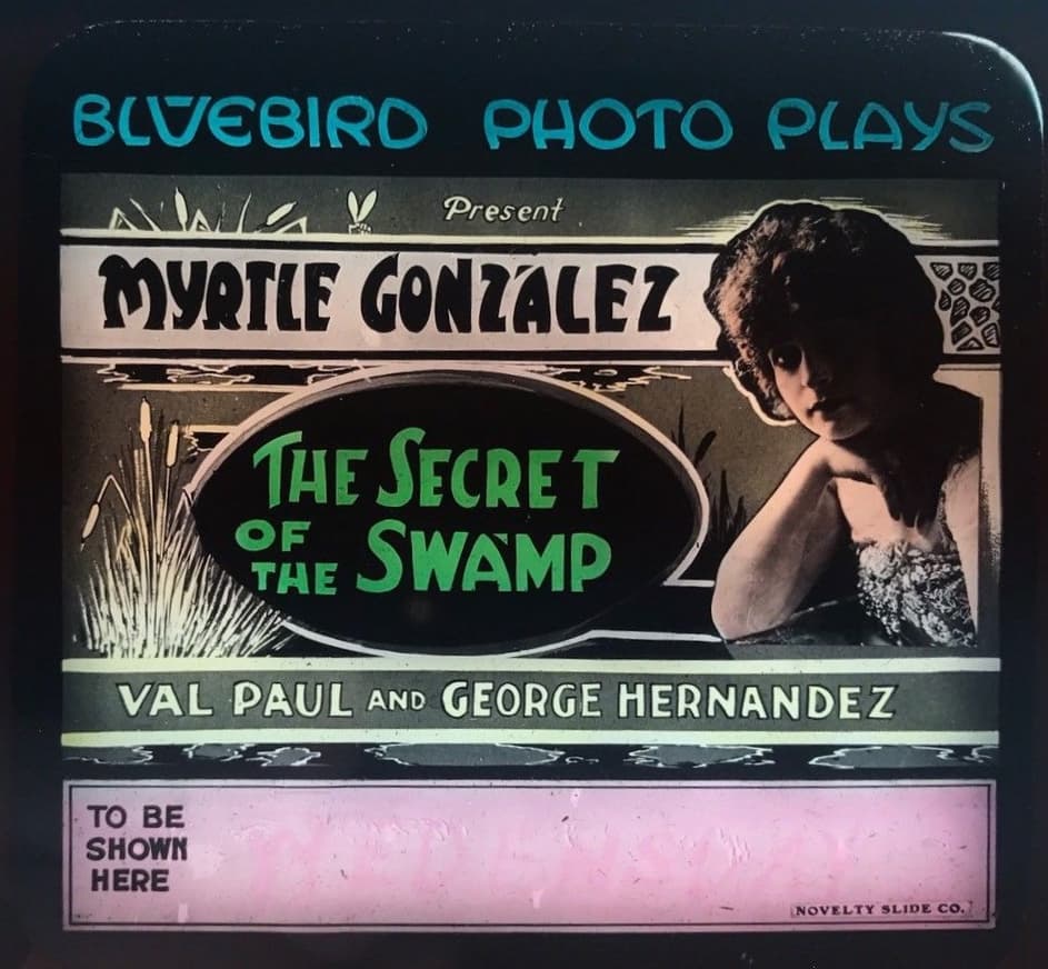 The Secret of the Swamp