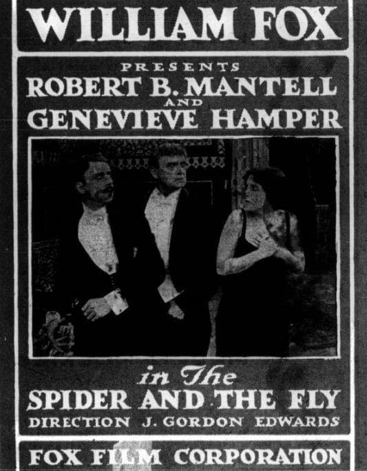 The Spider and the Fly photo
