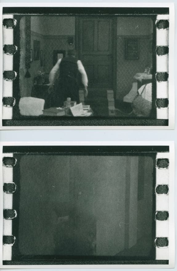 Therese photo