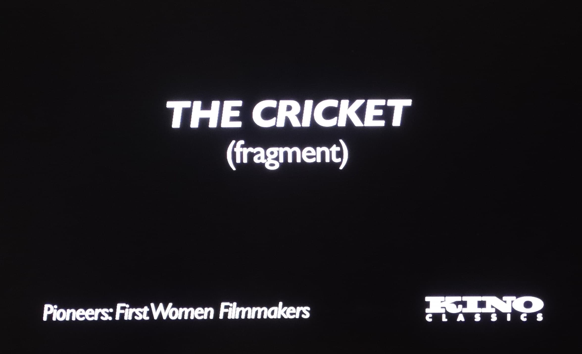 The Cricket