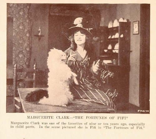 The Fortunes of Fifi