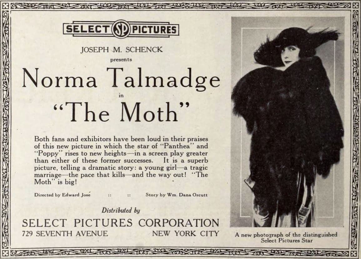 The Moth