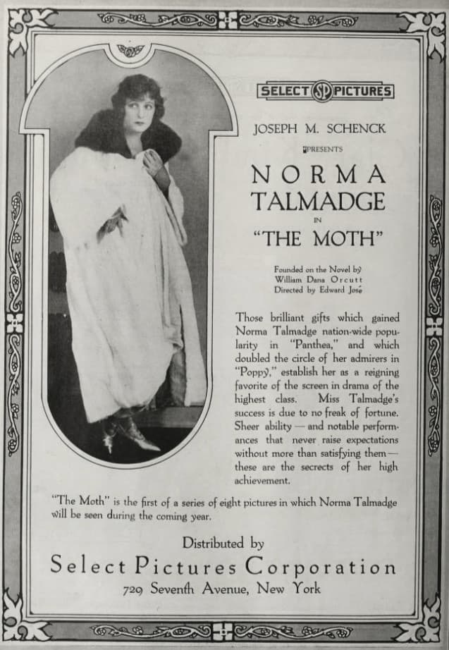 The Moth