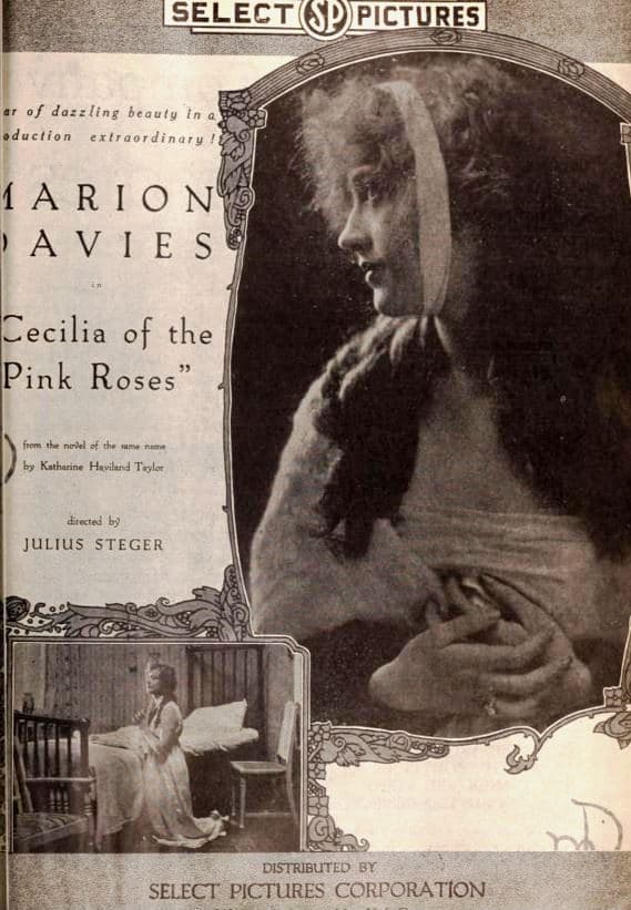 Cecilia of the Pink Roses