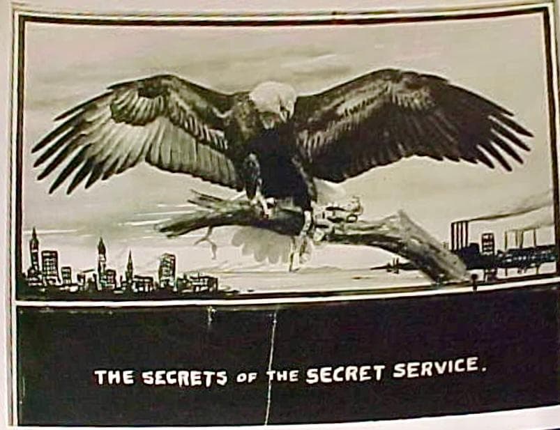 The Eagle's Eye