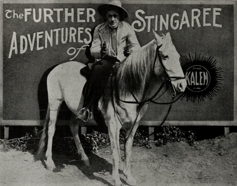 The Further Adventures of Stingaree