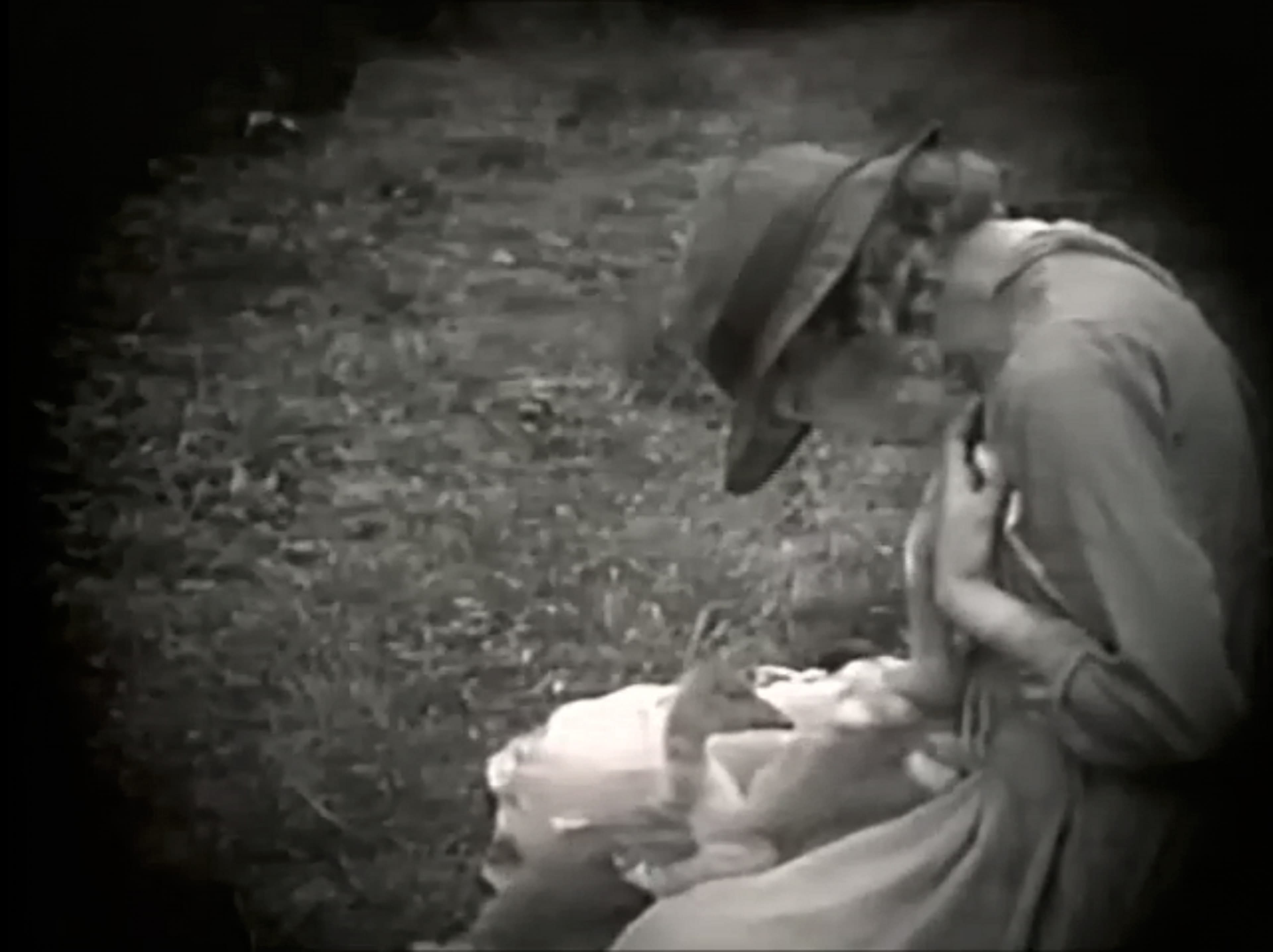 Hearts of the World photo