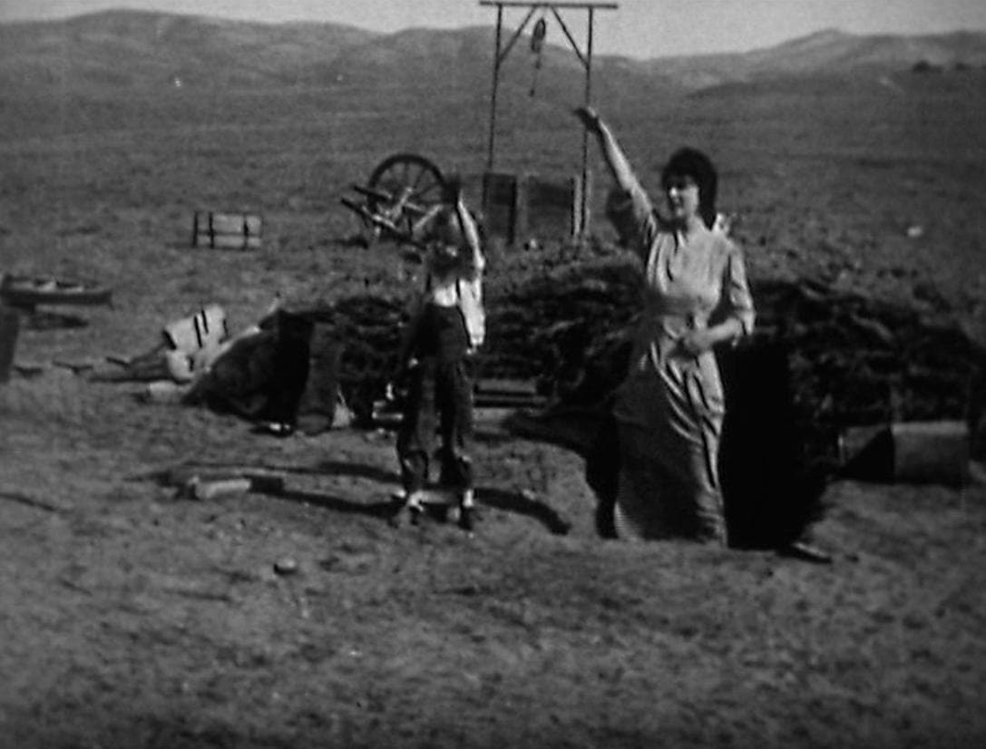 The Lady of the Dugout