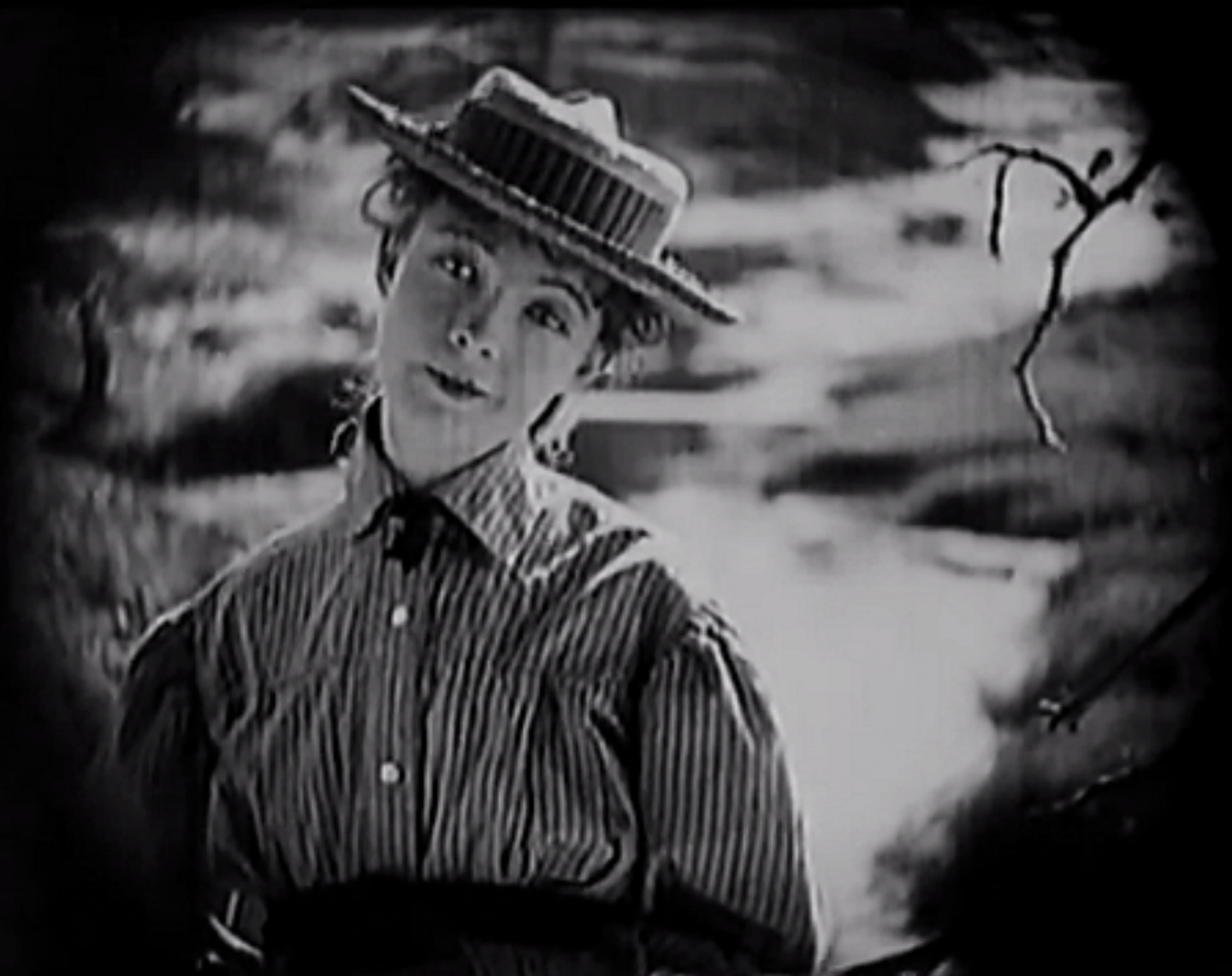 A Romance of Happy Valley