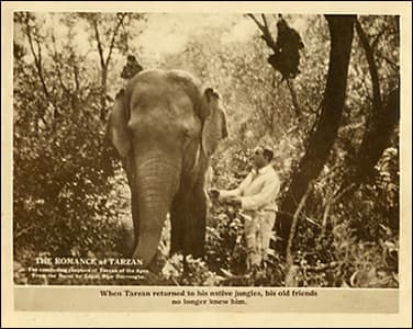 The Romance of Tarzan photo