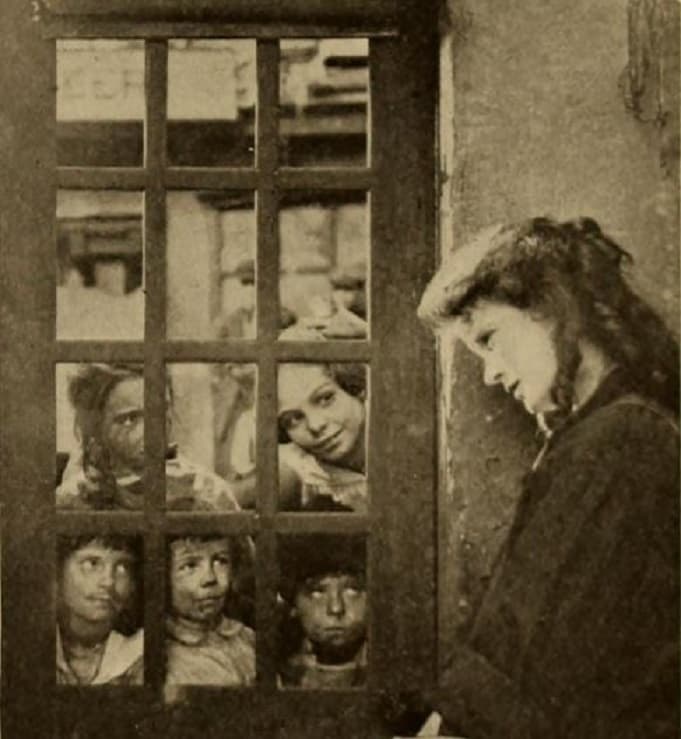 Sunshine Alley photo