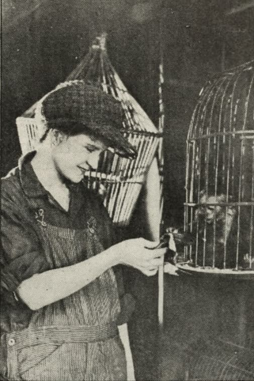 Sunshine Alley photo