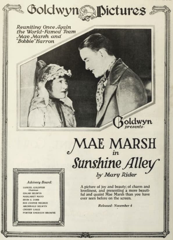 Sunshine Alley photo