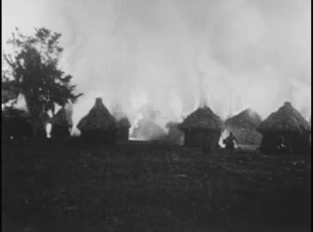 Tarzan of the Apes photo