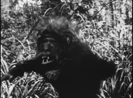 Tarzan of the Apes photo