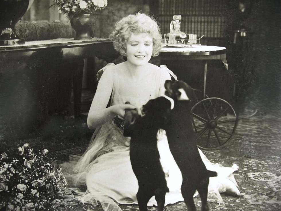 The Testing of Mildred Vane photo