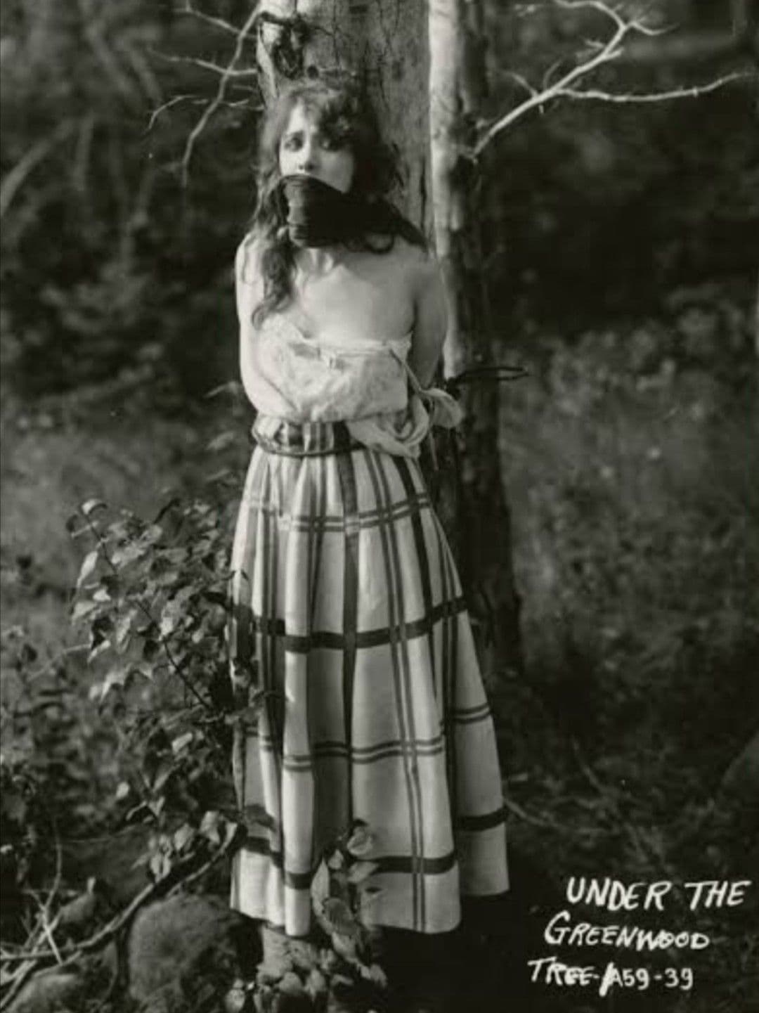 Under the Greenwood Tree