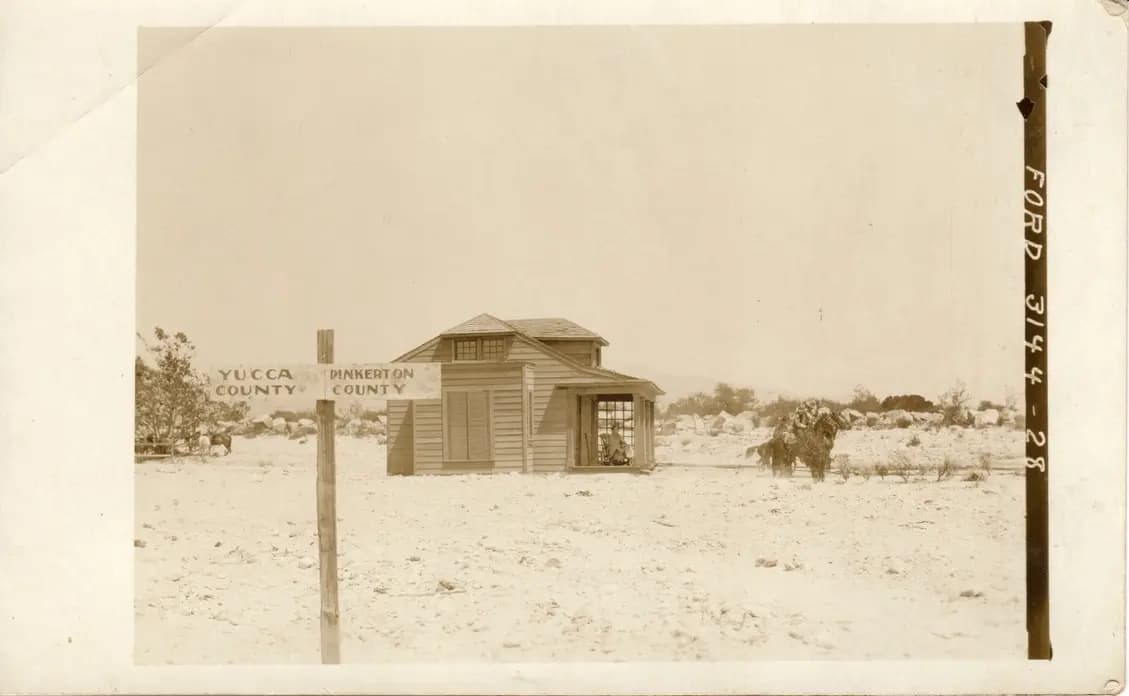 Ace of the Saddle photo