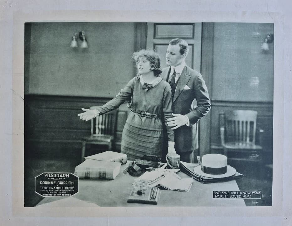 The Bramble Bush photo