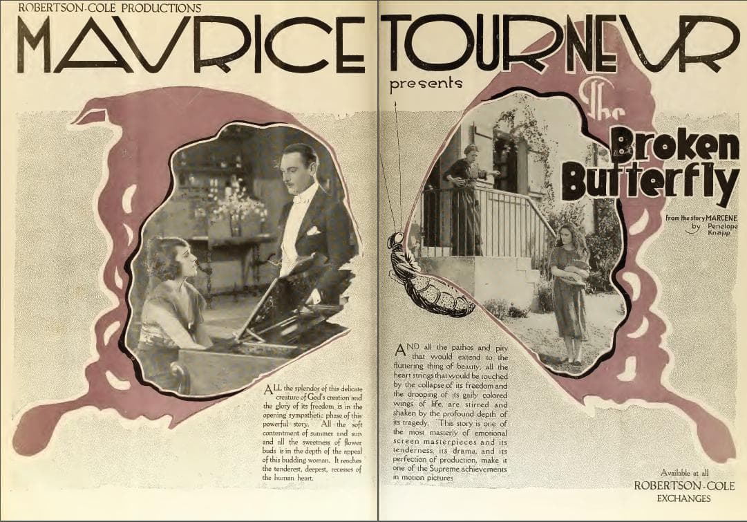 The Broken Butterfly