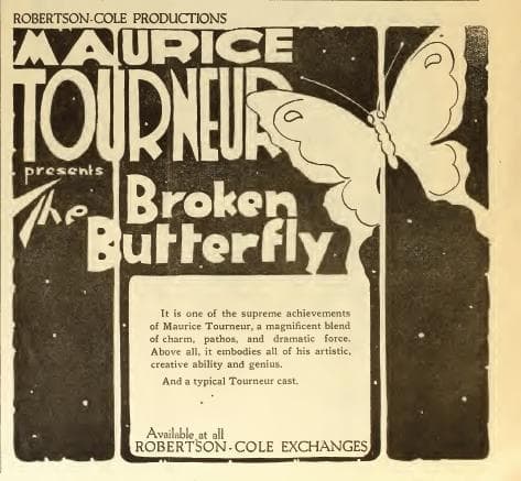 The Broken Butterfly